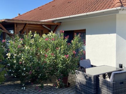 Bory Apartman17