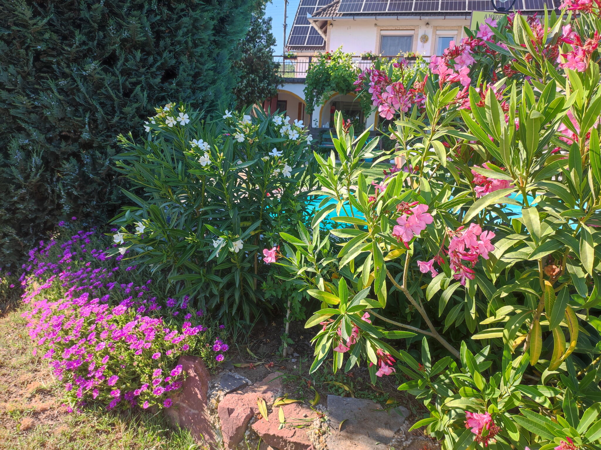 Rozi Garden Vendégház – Badacsony fotó 4