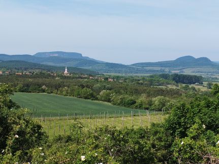 Kabóca Vendégház28