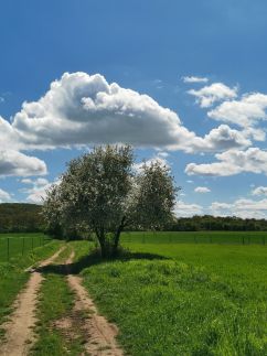 Kabóca Vendégház33