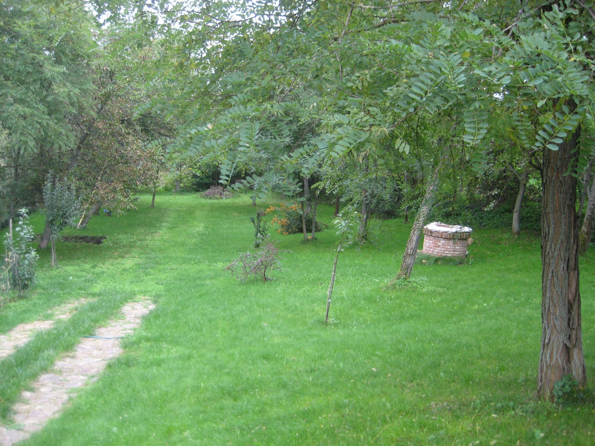 Hársfa Apartmanház – Salföld fotó 8