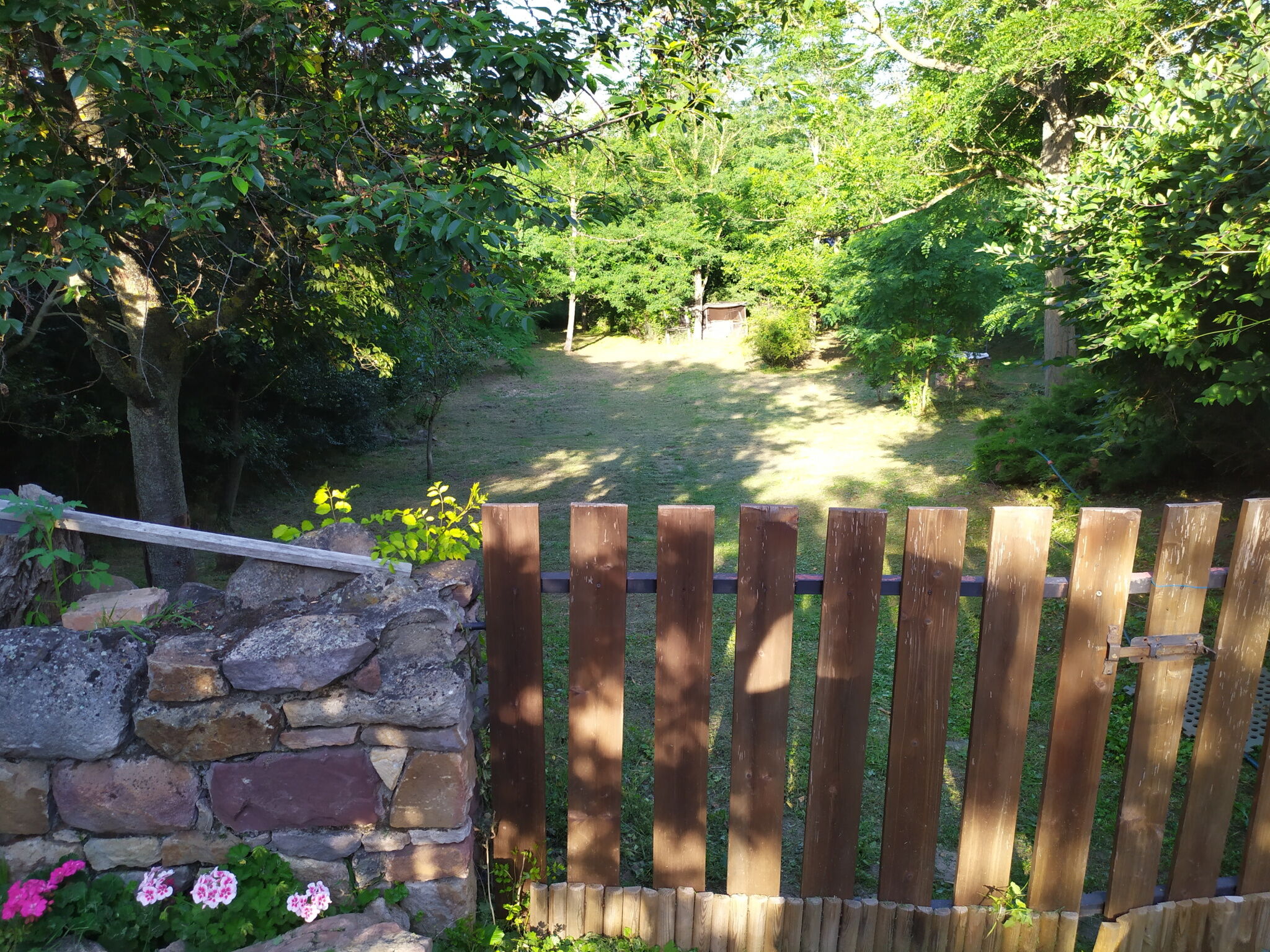 Hársfa Apartmanház – Salföld fotó 16