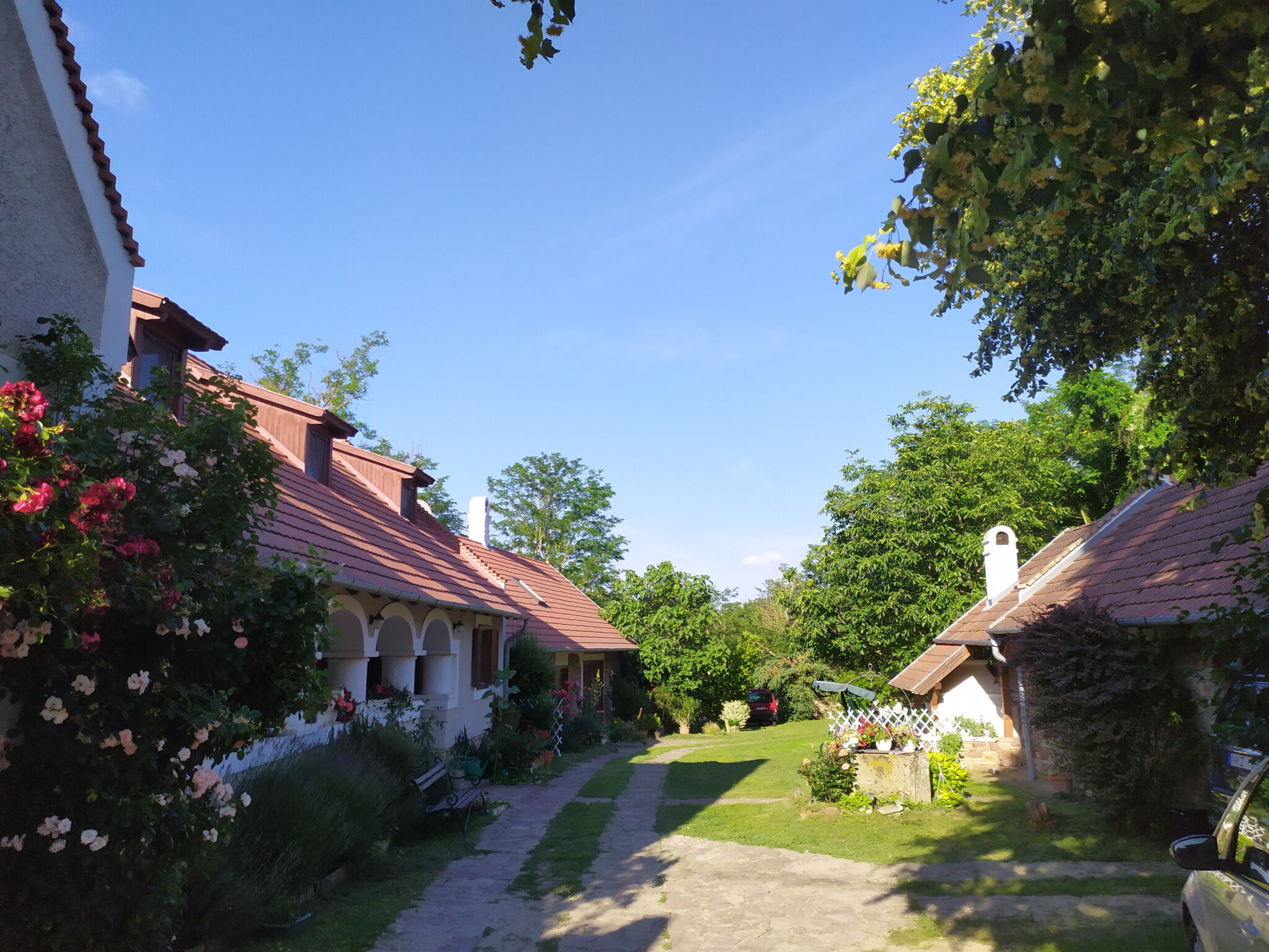 Hársfa Apartmanház – Salföld fotó 17