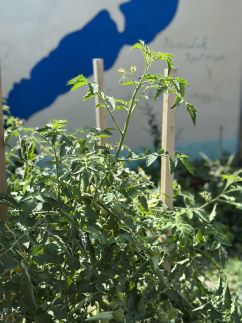 FűszáLak Apartman17