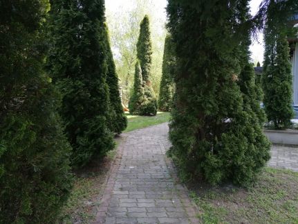 Ko-Sinus Apartman28