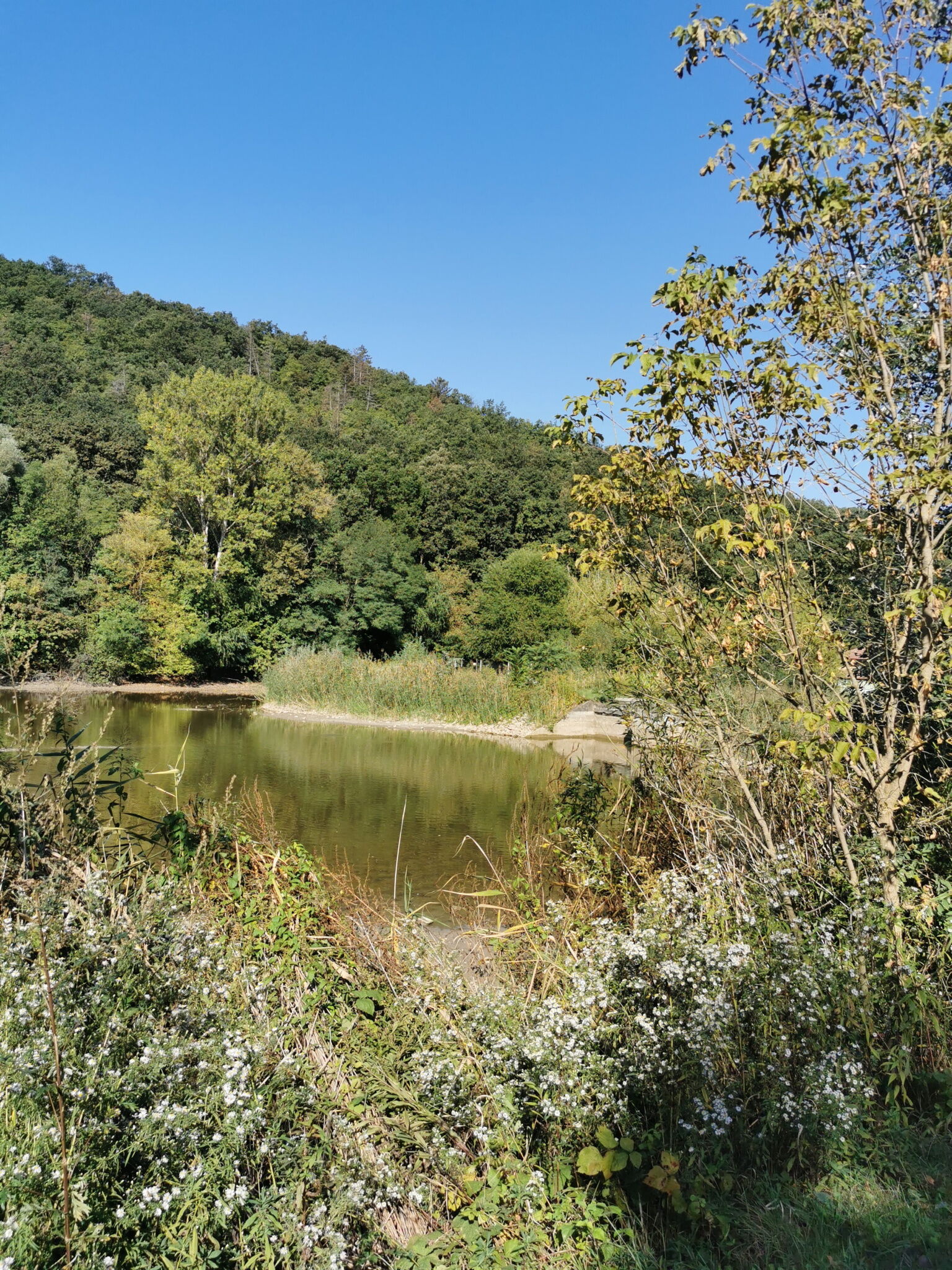 Búbánatvölgy Vöröstölgy Vendégház – Esztergom fotó 46