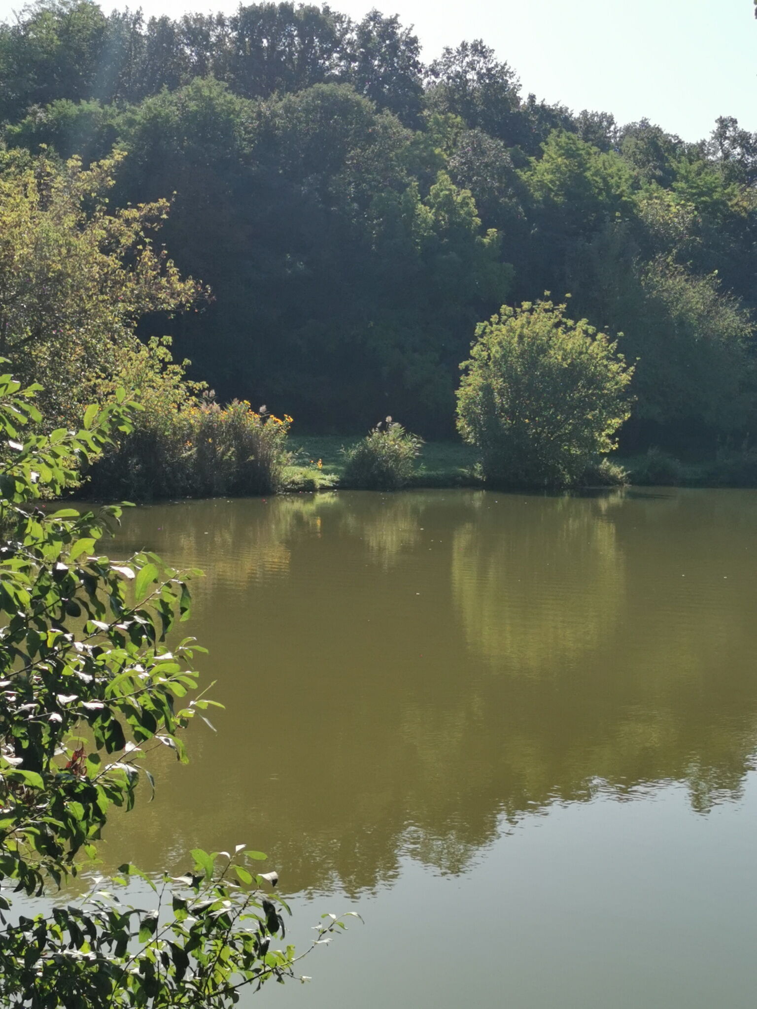 Búbánatvölgy Vöröstölgy Vendégház – Esztergom fotó 49