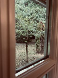 Töreki Cottage38