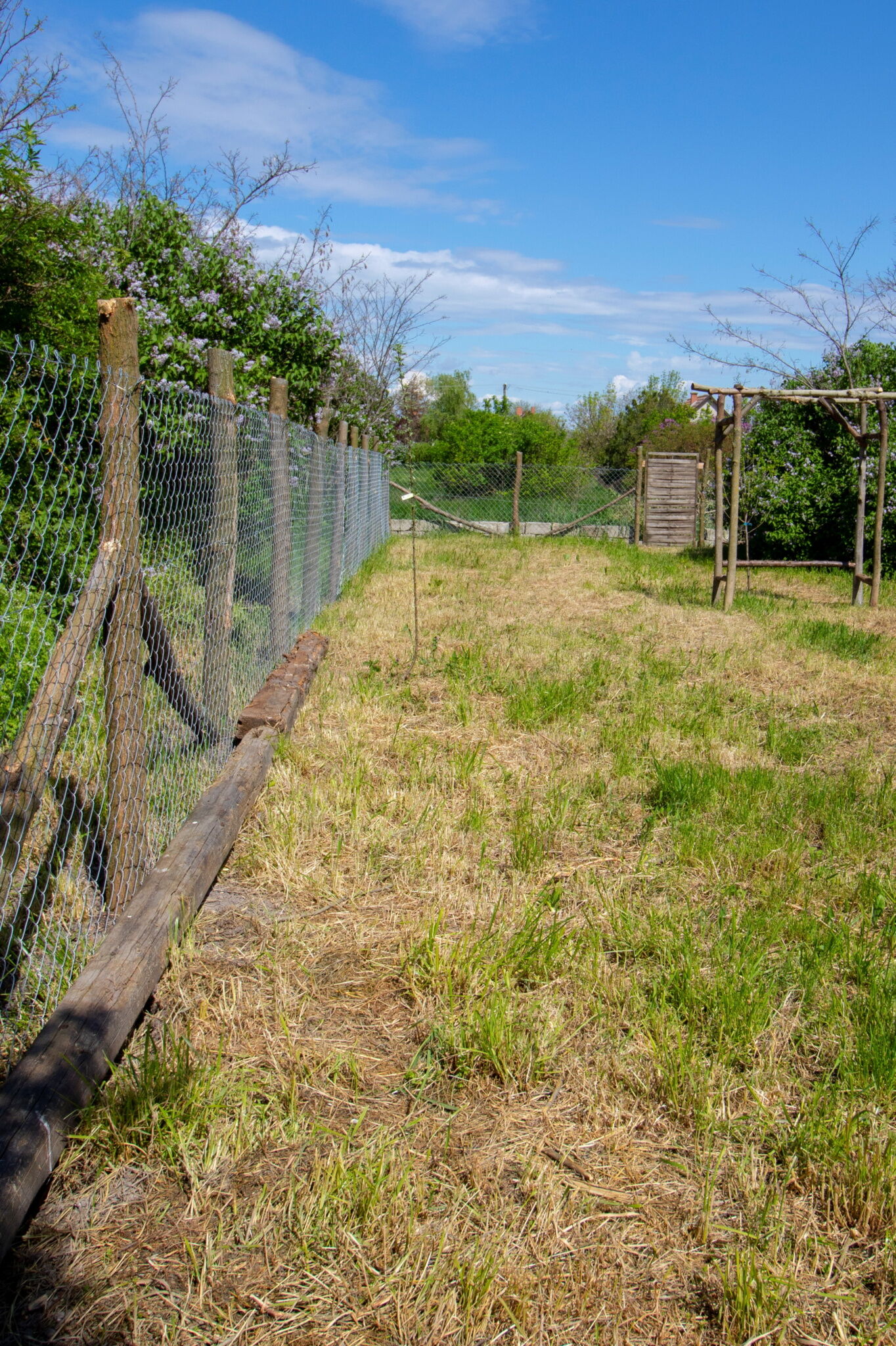 Tulipános Porta Parasztház – Sarud fotó 22