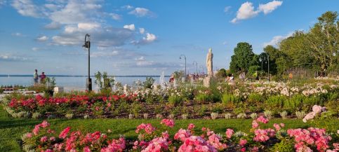 City Center Apartman18
