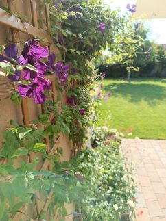 Villa Vintage Apartman Gyula74