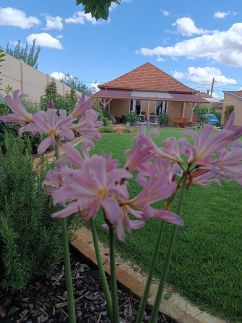 Villa Vintage Apartman Gyula75