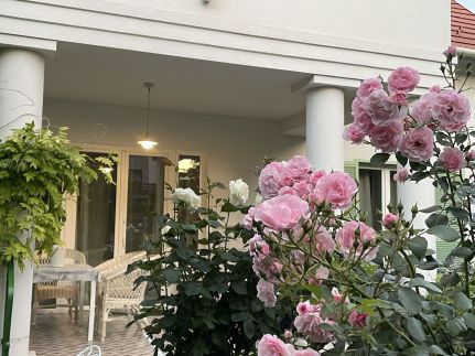 Villa Rosa Centre25