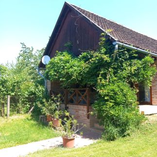 Vadszőlős Porta15