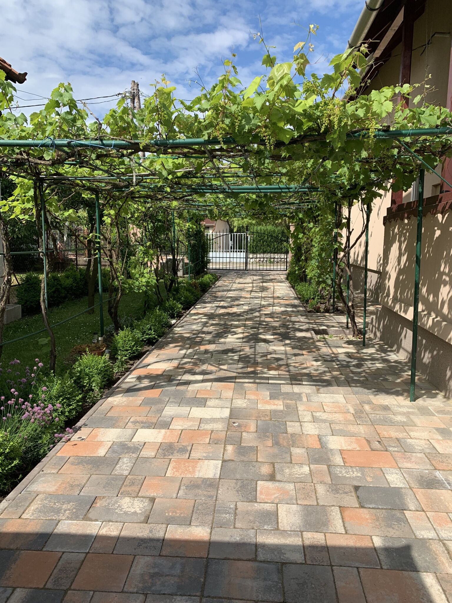 Liliom Apartman – Mezőkövesd fotó 4