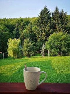 Relax Wellness Apartman98