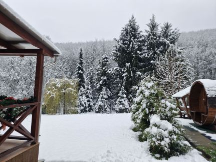 Relax Wellness Apartman104