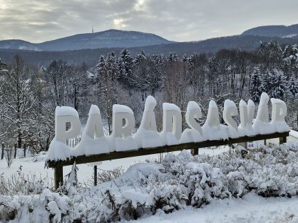 Relax Wellness Apartman111