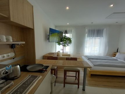 Korvin Plus Apartman10