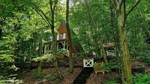 Noszvaj Cabin Vendégház