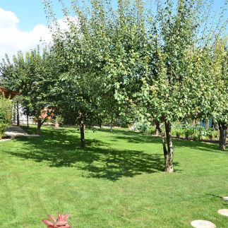 Gombos Apartman11