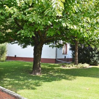 Gombos Apartman3