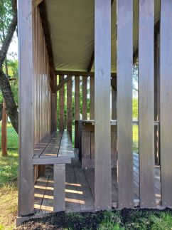 Fekete Rigó Kuckó35