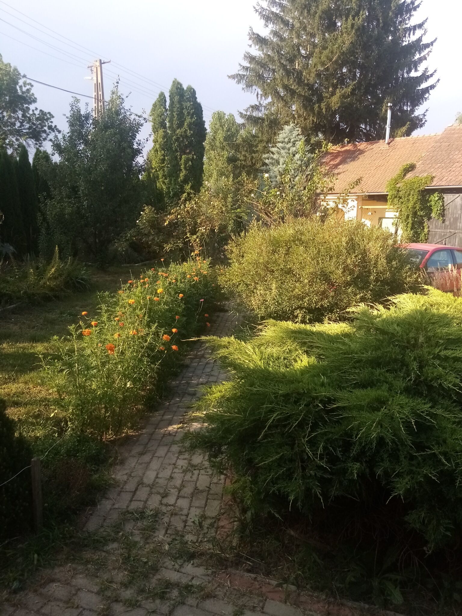 Midiola Vendégház – Kerkakutas fotó 42