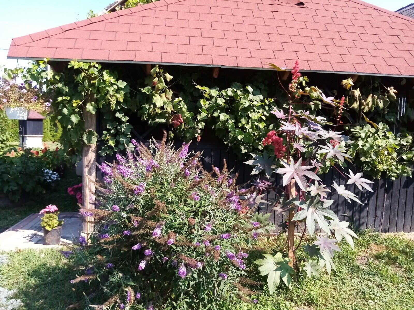 Midiola Vendégház – Kerkakutas fotó 58