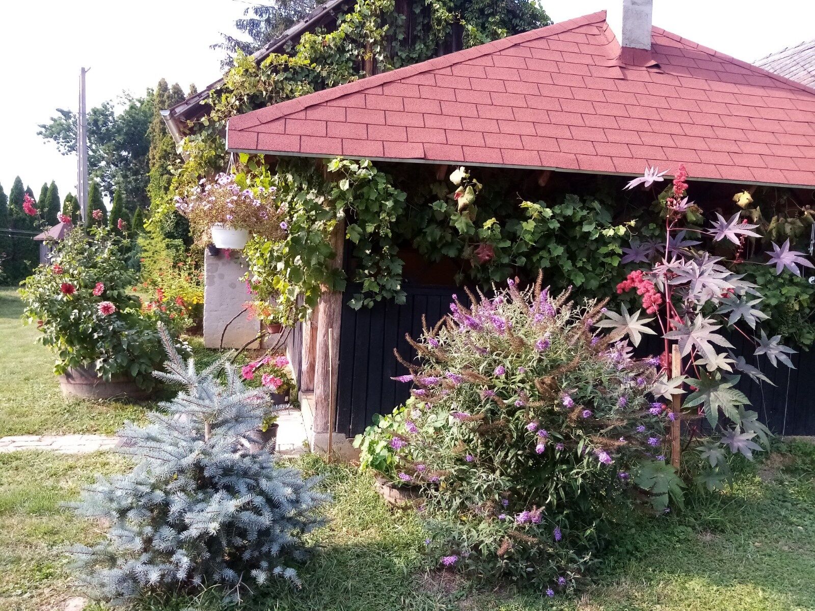 Midiola Vendégház – Kerkakutas fotó 59
