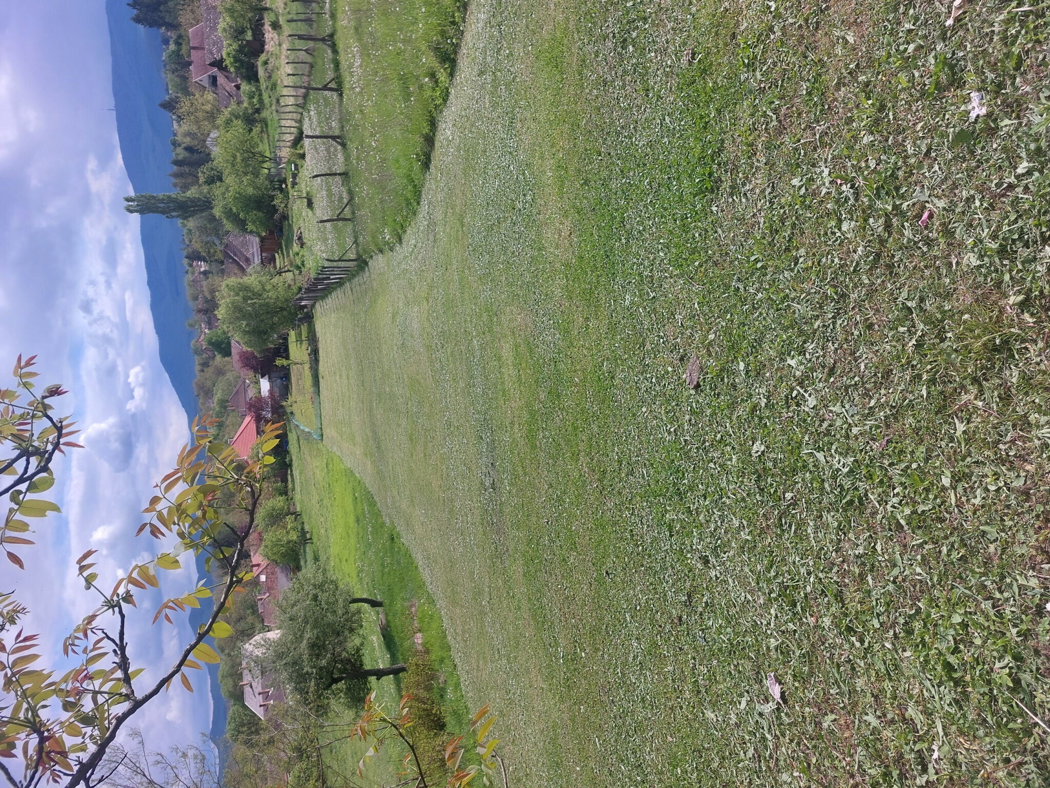 Levendula Studió Apartman – Bodony fotó 2