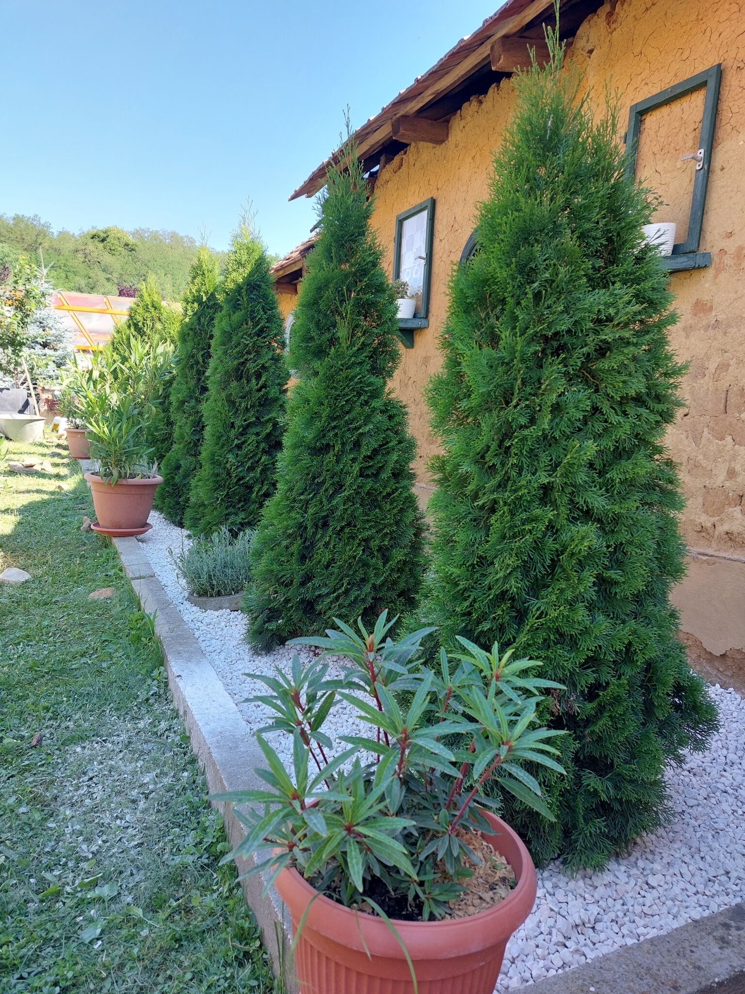 Levendula Studió Apartman – Bodony fotó 1