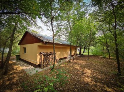 Varázslakos Tanya51