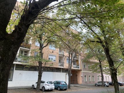 Rita Apartman