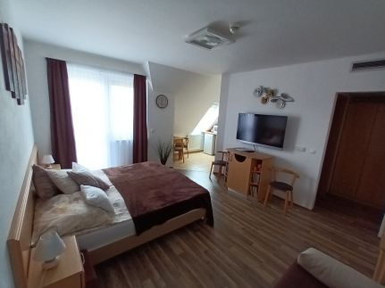 Fruzsina Gold Apartman13