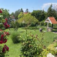 Balatonfüred-Péter Apartman