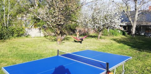 Little Zen House Apartman1