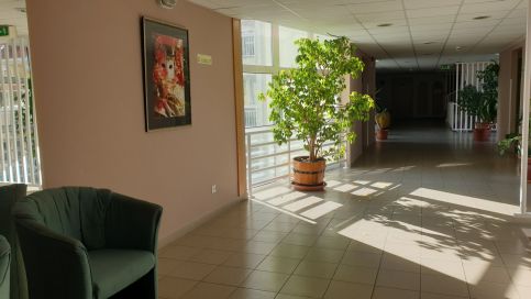 Wellakaros Wellness Apartman7