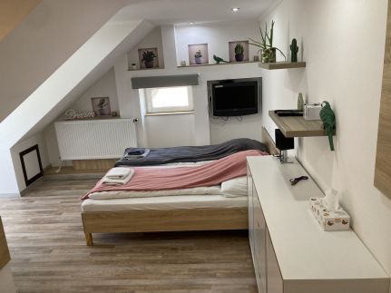 Rabbit Apartman13