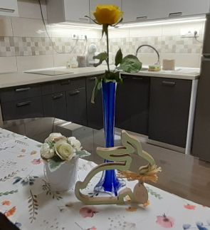 Apartman In City