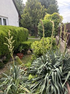 Kata Vendégház Balatonalmádi38