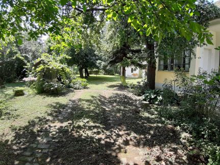 Művész Vendégház23