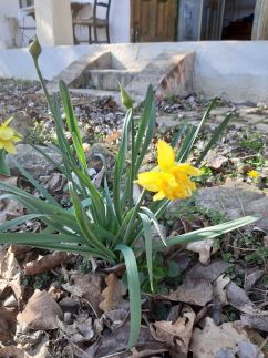 Művész Vendégház26