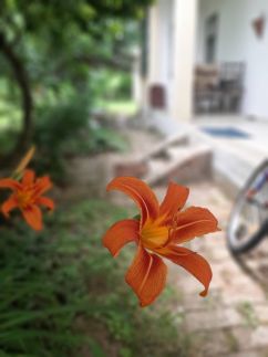 Művész Vendégház27