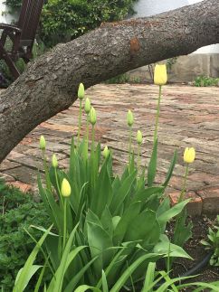 Szinyei Vendégház1