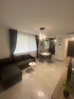 Lake View Apartman19