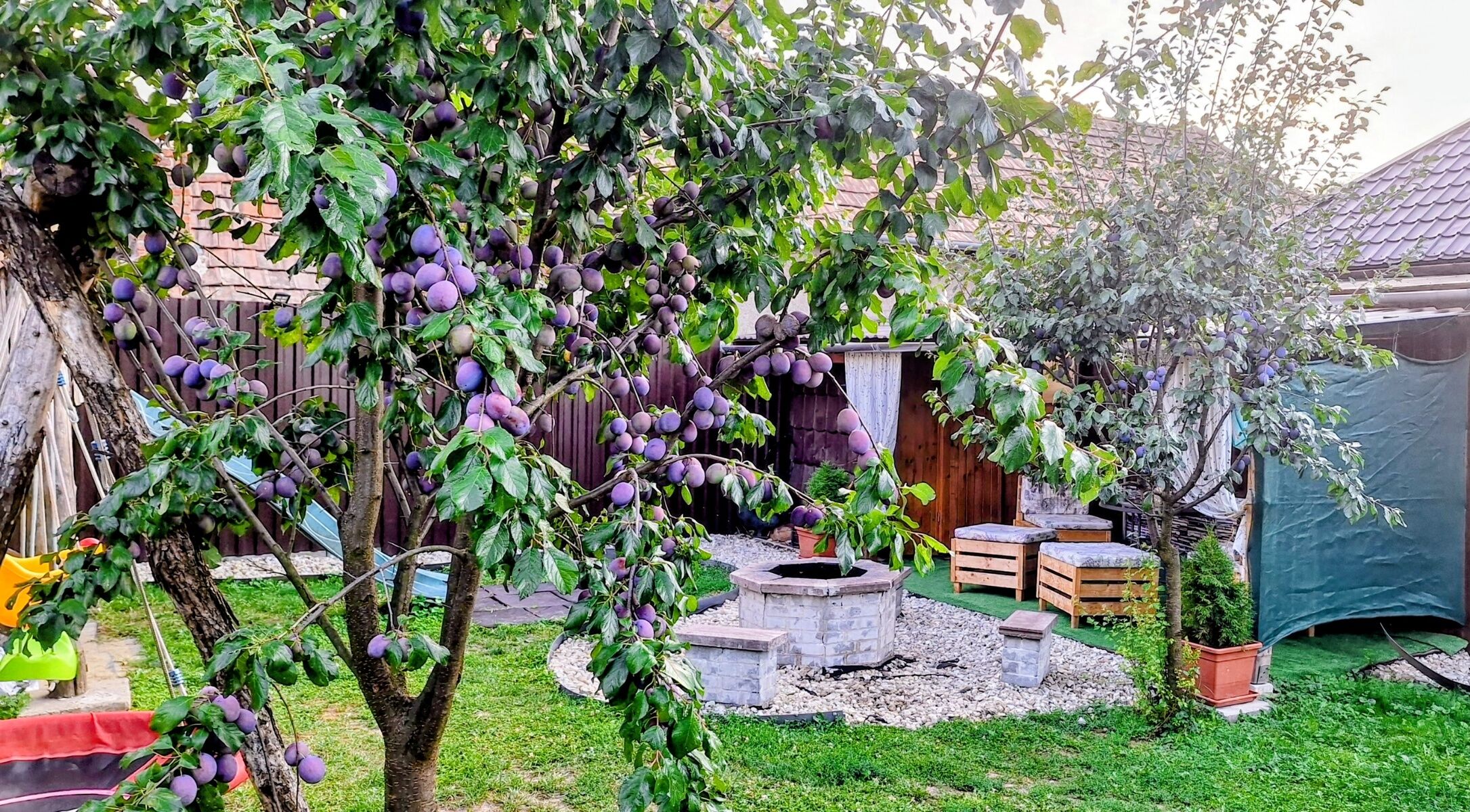 Barna Wellness Vendégház – Bárna fotó 41