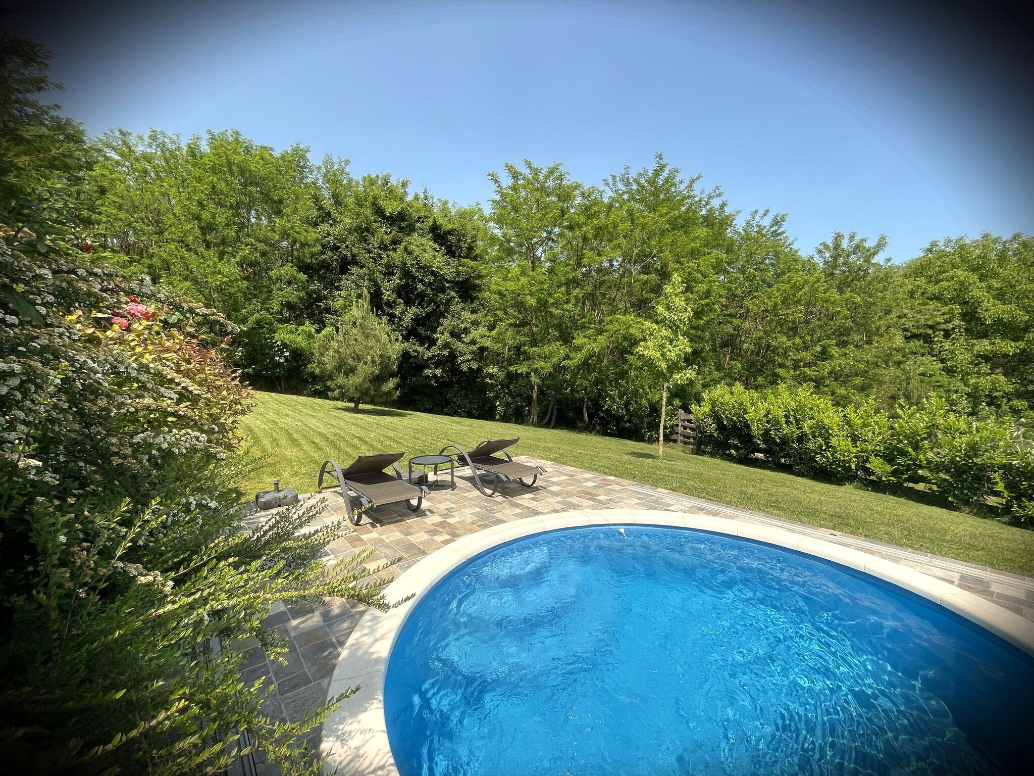 Forest Lodge Vendégház – Diósjenő fotó 15