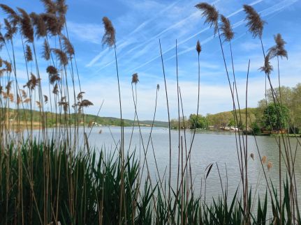 Onix-Vital Apartman42