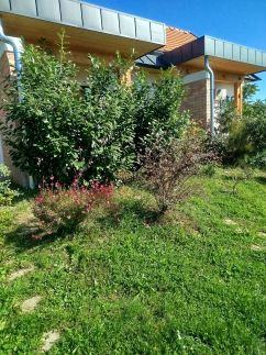 Edina Vendégház216